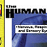 Human Body: Nervous, Sensory, Respiratory Systems
