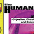 Human Body: Digestive, Circulatory, Excretory and Reproductive Systems