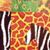 Amazing Animal Paper