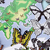 Butterflies of the World Activity Kit