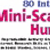 Internet Made Easy: 80 Internet MiniScavenger Hunts