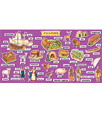 Scholastic Bulletin Boards: Pilgrims