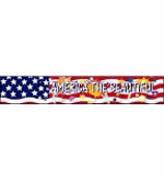 Scholastic Banners: America the Beautiful