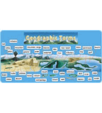 Scholastic Bulletin Boards: Geographic Terms