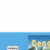 Scholastic Bulletin Boards: Geographic Terms