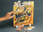 Book Plus - Lifecycles - Tropical Rainforest
