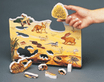 Book Plus - Lifecycles - Desert Habitat