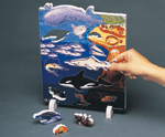 Book Plus - Lifecycles - Ocean Habitat