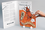 Book Plus - Lifecycles - Lifecycle of a Mealworm