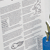 Book Plus - Lifecycles - Lifecycle of a Frog