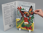 Book Plus - Lifecycles - Lifecycle of a Butterfly