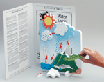 Book Plus - Lifecycles - Water Cycle