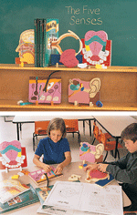 Human Body Model - Our Senses Kit