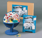 Model Plus Biology - The Animal Cell