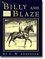 Billy And Blaze A Boy And His Pony