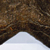 Carcharodon megalodon Tooth