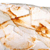 Oviraptor Egg