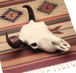 Buffalo Cranium