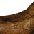Tyrannosaurus Claw with Stand
