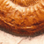 11 inch Ammonite