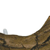 Utahraptor Claw