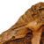 Tyrannosaurus Skull