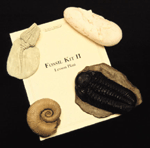 Fossil Kit II Classroom Kit