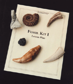 Fossil Kit I Classroom Kit