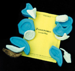 Fossilworks Classroom Kit