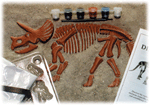 Dinoworks - Triceratops Eyewitness Kit