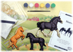 Horse Eyewitness Kit