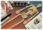 Humanworks Eyewitness Kit