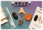 Fossilworks Eyewitness Kit