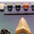 Fossilworks Eyewitness Kit