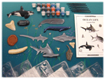 Eyewitness Classroom Edition - Ocean Life