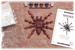 Spider Eyewitness Kit