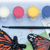 Butterfly Eyewitness Kit
