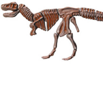 T-Rex Cast and Paint Kit
