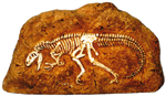 Allosaurus In Rock