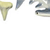 Sharks Cast and Paint Kit