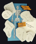 Human Traces Classroom Kit