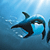Dolphin Celebration File Folders from Wyland