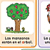 Bilingual Beginnings Bulletin Board
