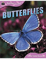 Animal Lives: Butterflies