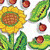 Bulletin Board: Sunflowers
