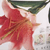 Thames and Kosmos Perfume Science
