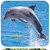 Sea Life Lacing Cards