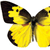 Bold Butterflies Discovery superShapes Stickers