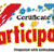 Certificate of Participation - paint splatters Certificate