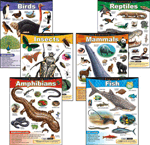 Exploring...Series Learning Charts Combo Pack